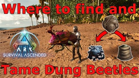 ark dung beetle spawn command.